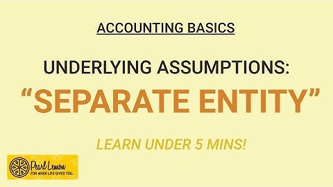 ACCOUNTING BASICS: Separate Entity, an Underlying Assumption