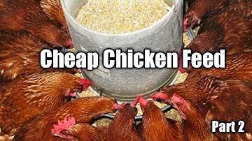 Cheap Chicken Feed Formulation Part 2