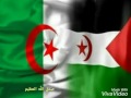 سيبقى الطفل في صدري يعاديكم بعاديكم فادي علون