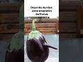 Dışarıda emanetin durduk yere belli olması#mizah#komik