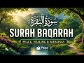 Surah Al-Baqarah (سورة البقرة) Full Recitation | Protection & Blessings | Peace Holy Quran