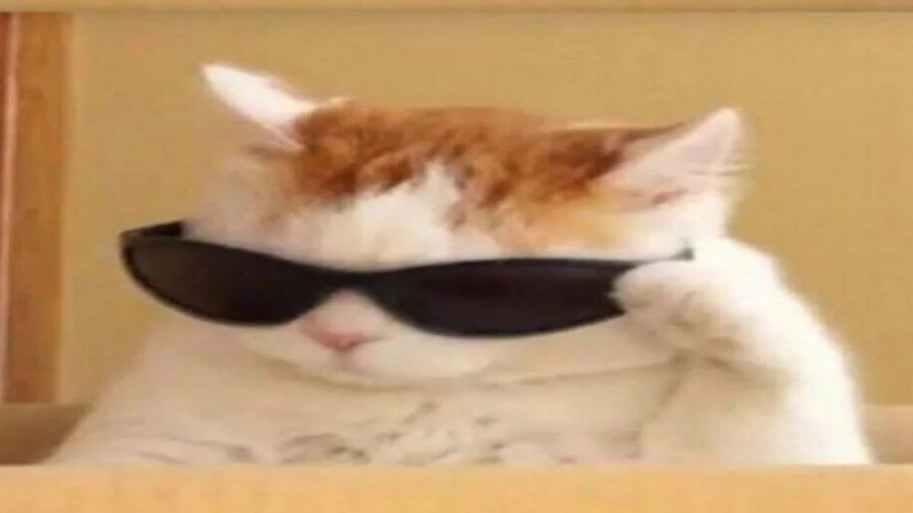 игрыыыыы #shorts - YouTube