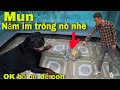 Thử Thách Rottweiler Mun Trông Thức Ăn Và Cái Kết Thua Cuộc Của Săn Bắt Ẩm Thực Vùng Cao