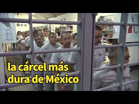 Video: ¿Qué país tiene más encarcelados?