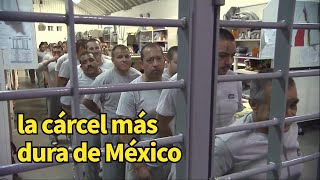 la cárcel más dura de México donde están encarcelados el narcotraficante y los jefes de la pandilla