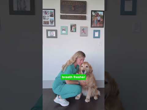 Vetpets YouTube ad: Hook 3 9x16 - freshsmile