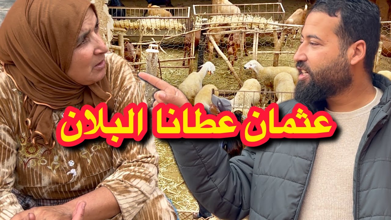 عثمان دار لينا بلان واعر 🤣 مي الزعرية فرحانة بالمهندس جديد 