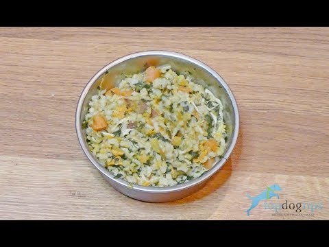 pressure-cooker-dog-food-recipe