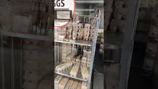 25 Billion Chickens And Eggs Are Over 4 Dollars Capitalism And Inflation