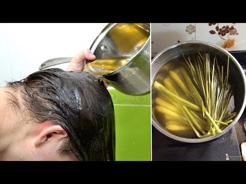Cách Trị Rụng Tóc Tại Nhà Nhanh Nhất - 5 cách trị rụng tóc đơn giản hiệu quả tại nhà cả thế giới săn lùng - Trị Rụng Tóc