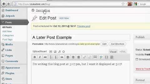 Video 53 - How to Schedule Blog Post For Future Date