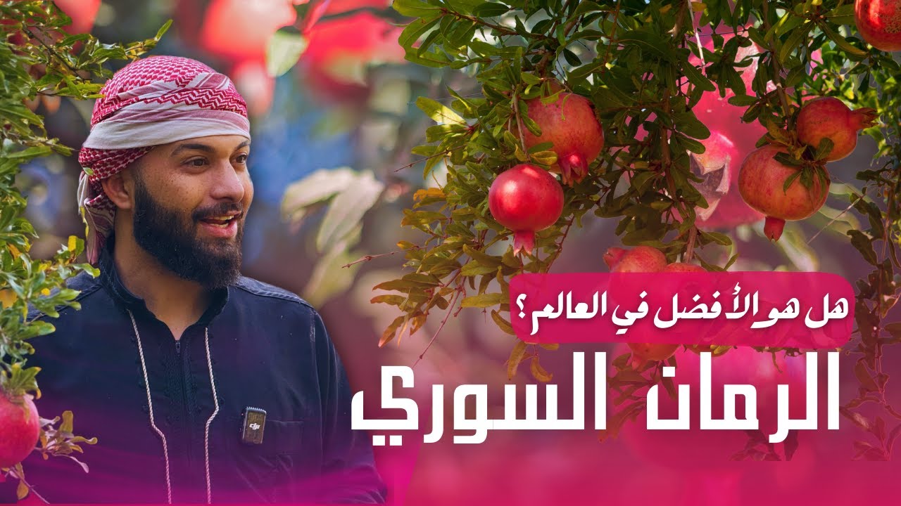 لماذا رمان السوسة يعتبر الأفضل في سوريا؟