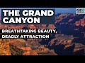 The Grand Canyon: Breathtaking Beauty, Deadly Attraction