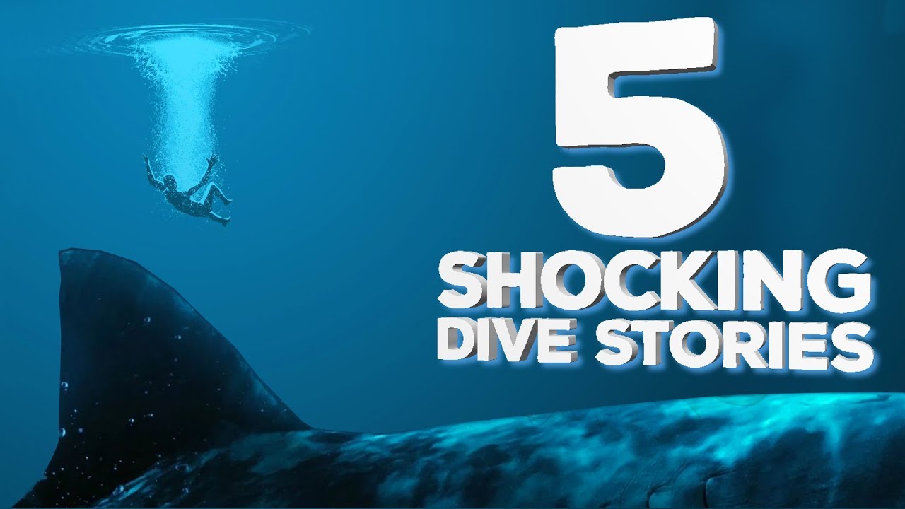 5 Shocking Dive Stories YouTube