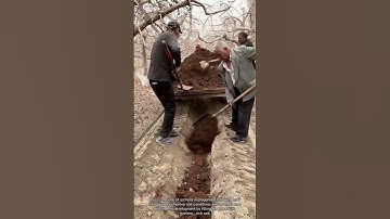 Filling Orchard Soil with Nutrient - Rich Soil