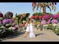 Парк цветов в Дубае удивляет прямо со входа! Dubai miracle garden 2019