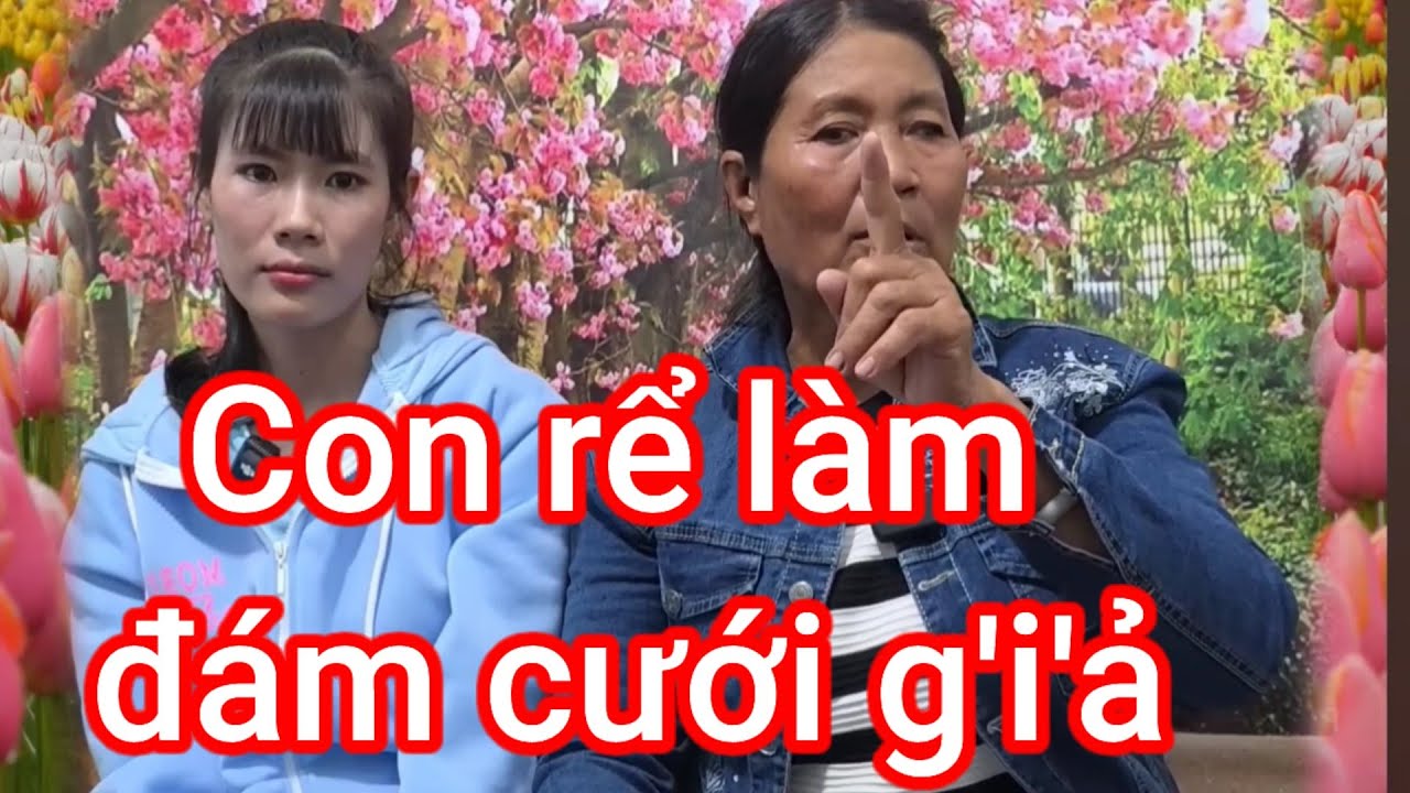 Con rể quý 