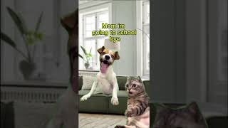 Pov you are super fast #catmeme #funnycat #catvideos #cat #superspeed