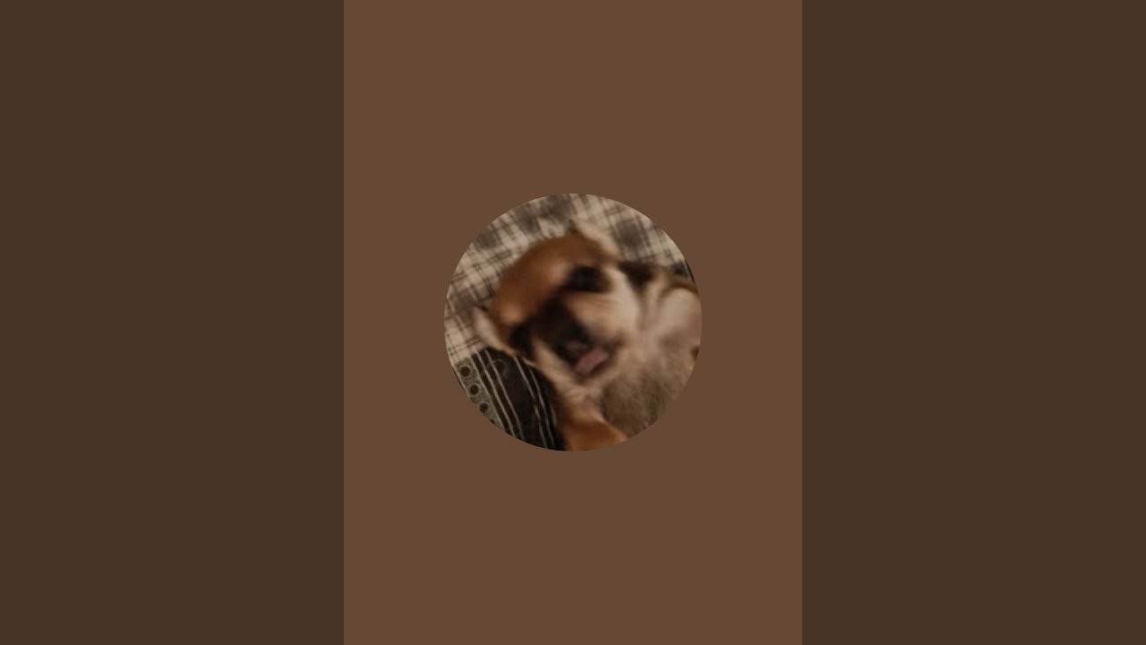 lo__ox nadaje na żywo