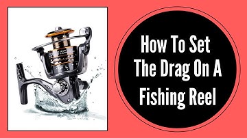 How To Set The Drag On A Fishing Reel
