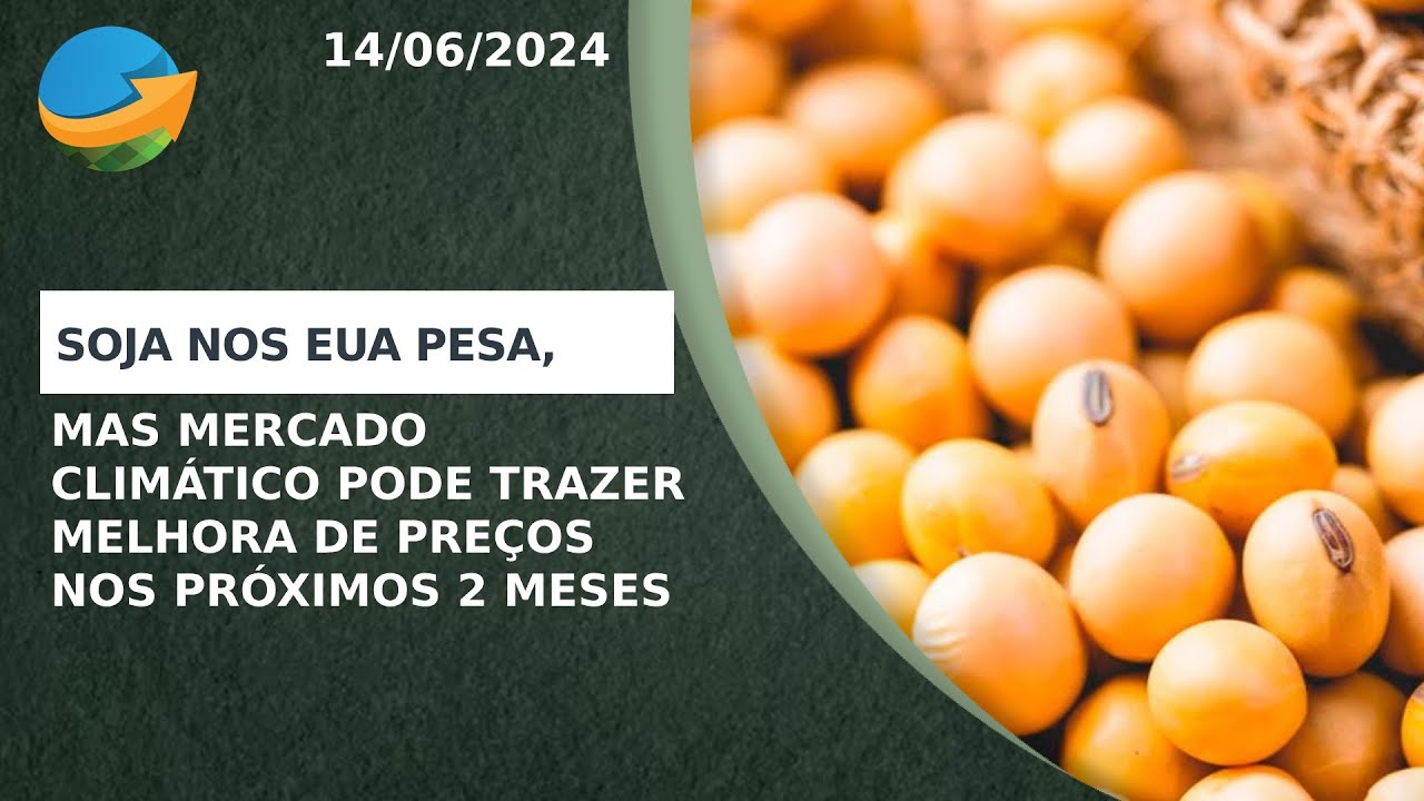 Desenvolvimento da soja nos EUA pesa, mas mercado climático pode trazer melhora de preços nos pró...