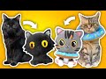 I Turned My Cats Into Plushies!