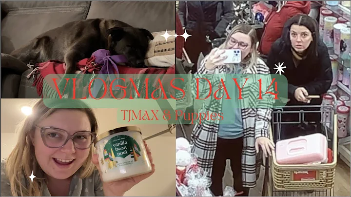 Vlogmas Day 14: TJ Max And Puppies