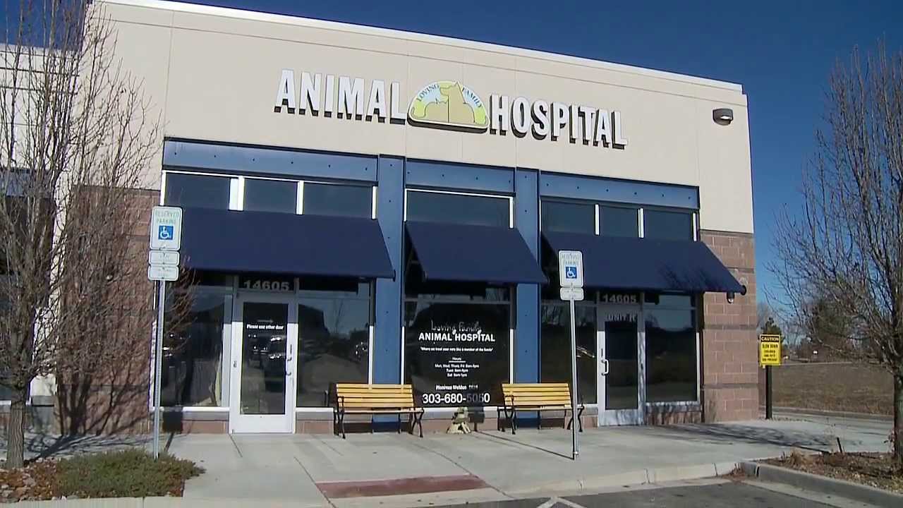 Loving Family Animal Hospital Short Aurora, CO YouTube