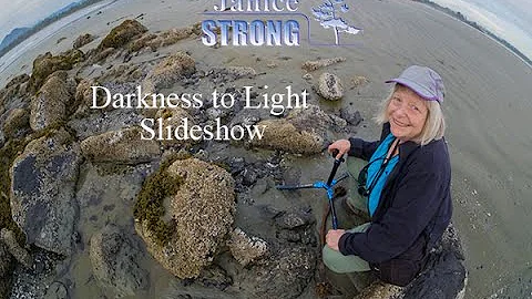 Darkness into Light slideshow by Janice Strong
