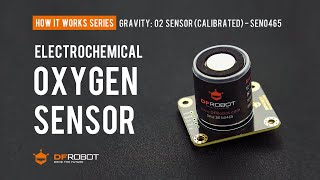 Sauerstoffsensor mit I2C-Kommunikation - DFRobot SEN0322 Botland -  Robotikgeschäft