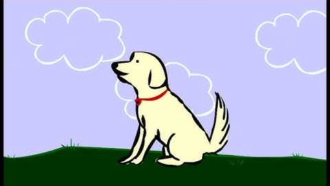 Adobe Animate Experiment- My first animation