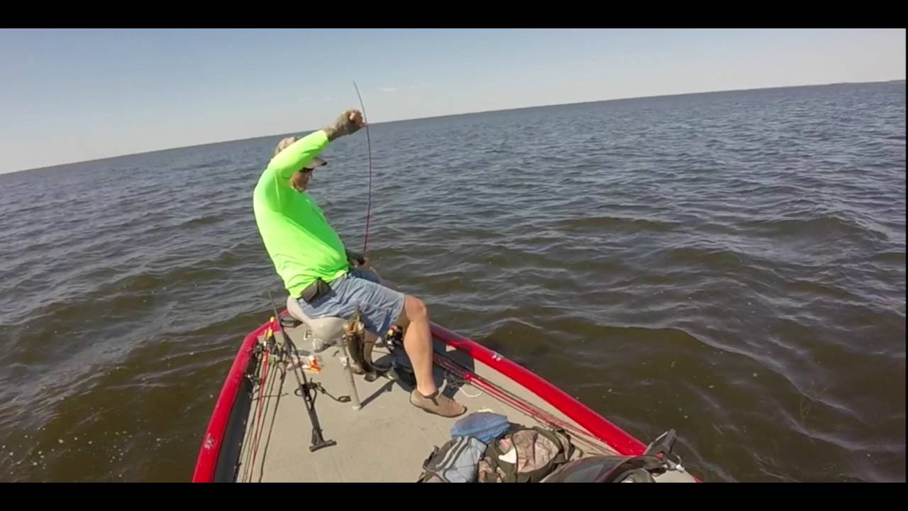 Fellsmere Fatties Stickmarsh Florida Bass Fishing Day 1 May 2016 YouTube