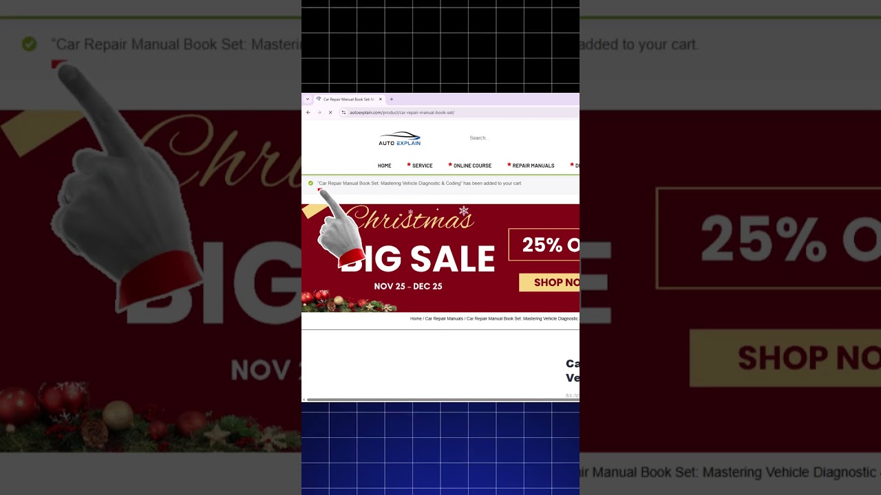 Christmas Mega Sale: How to Enter AutoExplain’s Promo Code Correctly
