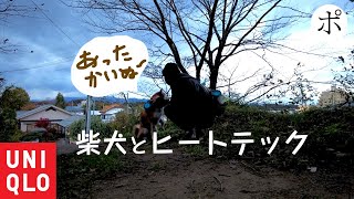 ヒートテックで犬散歩ルーティン【JWアンダーソン・Uniqlo U】