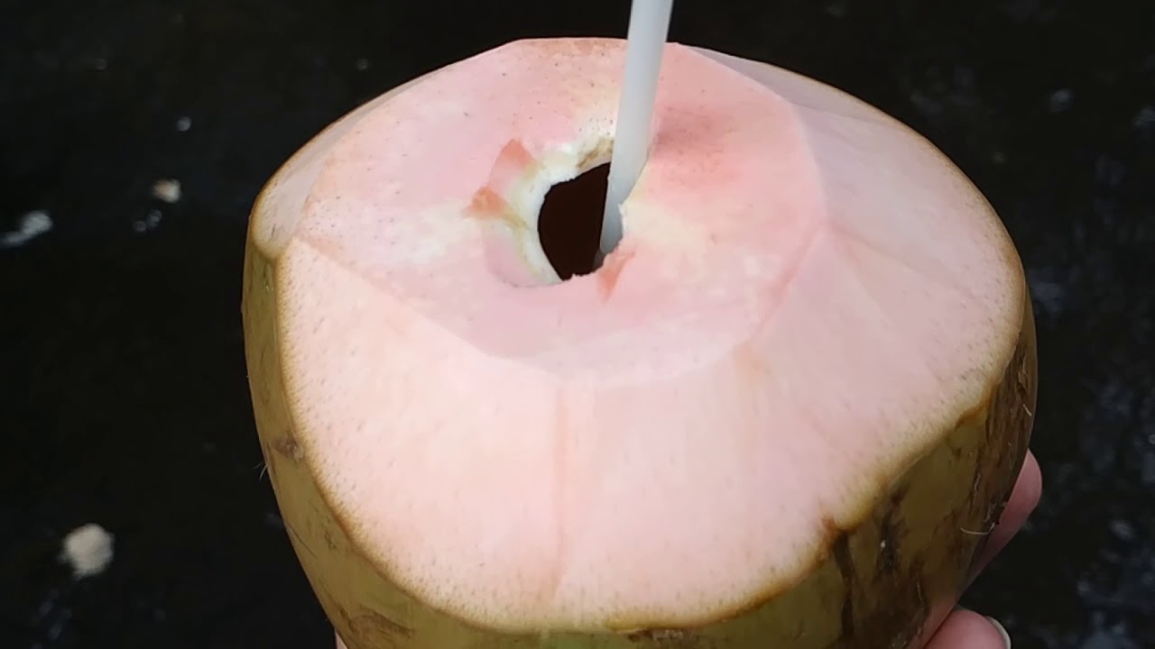 Pink coconut (Cocos nucifera) YouTube