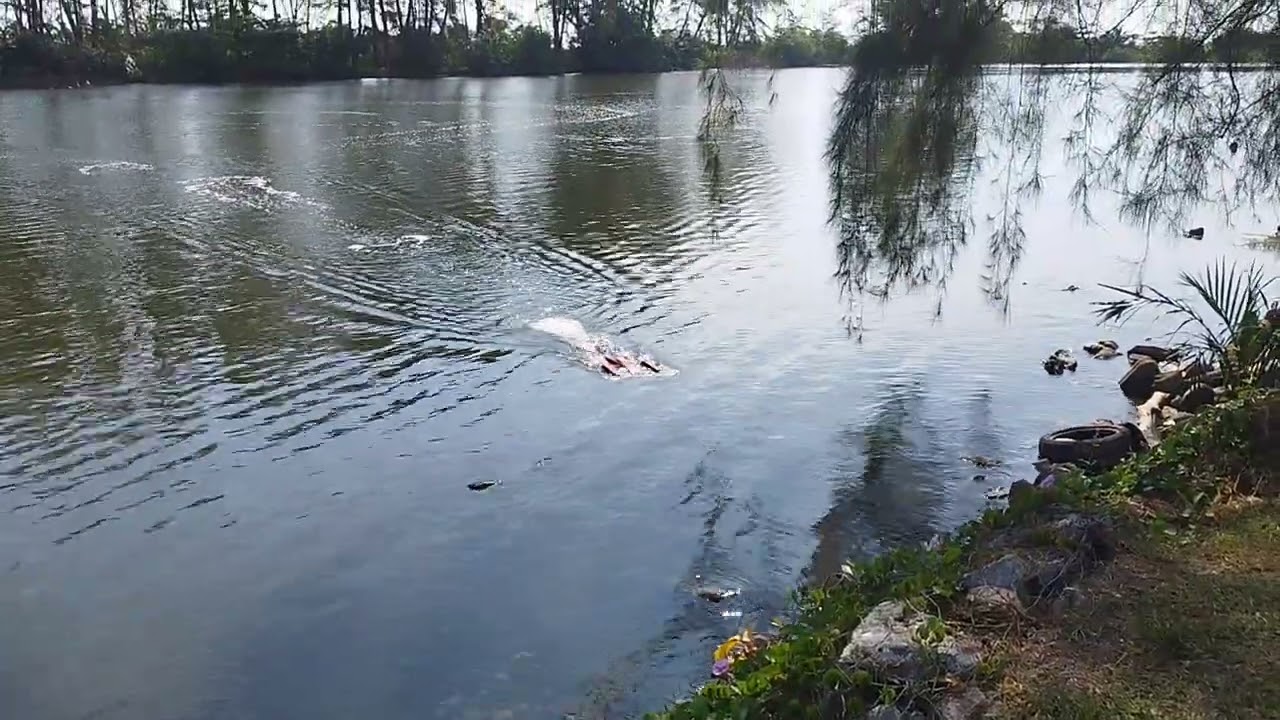 Rc boat outrigger 3s 106kmh gps...