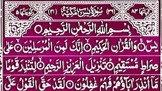 Surah Yaseen | Beautiful Qur'an Tilawat | Sura Yasin Sharif Most Recitation | Al Quran Surah