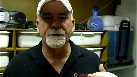 Brian Gundy Reveals All His Secrets About Breeding Ball Pythons