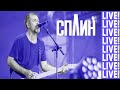 Новые люди-Сплин(COVER)