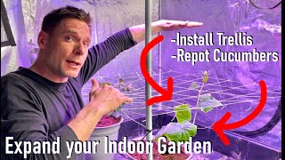 Expand Your Indoor Garden | Install Trellis Netting, Repot Cucumber Plants into Coco and Castings @gardenlabs