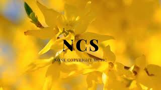 Slippy \u0026 Josh Rubin - Crash | DnB | NCS13 - Copyright Free Music ncs source