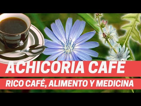 Video: Cómo Elegir Una Bebida De Café Con Achicoria