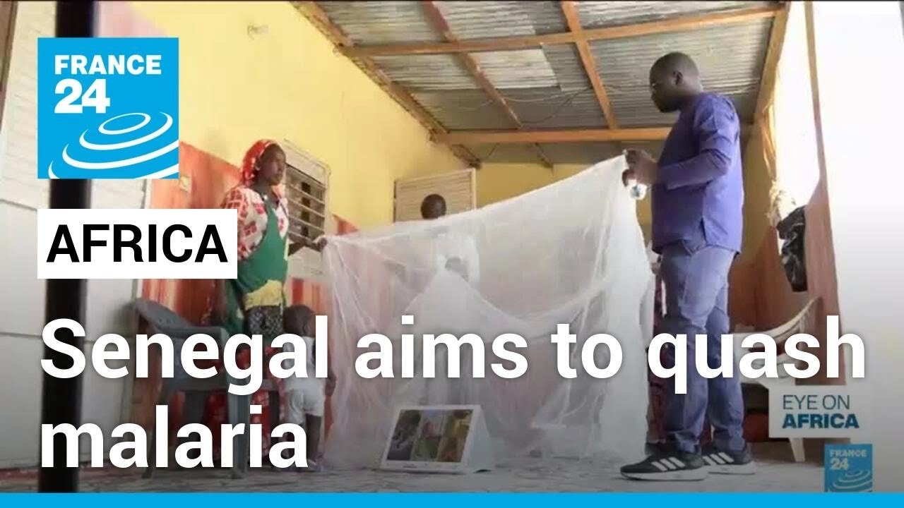 Senegal aims to quash malaria • FRANCE 24 English