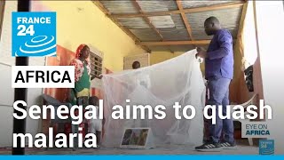 Senegal aims to quash malaria • FRANCE 24 English