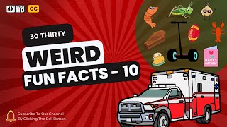 30 Mind-Blowing Weird Fun Facts You Never Knew! 😲🎉 | Part 10 | Amazing Facts | Show Reel