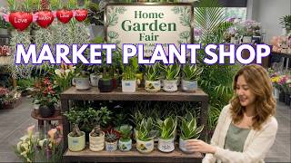🪴Home And Garden Fair Plants You'll Love | Local Supermarket Mini Plant Shop🌿