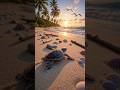 The Incredible Journey of a Baby Sea Turtle #Shorts #SeaTurtle #Turtle #Ocean #MarineLife #Wildlife