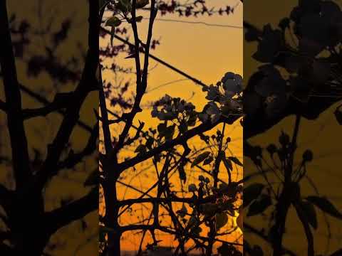 زكريااااات ياليت بيني وبين البعيدين عني شارع كل ماضاقت بي الدنيا ذهبت اليهم اللهم قربهم لقلبي 