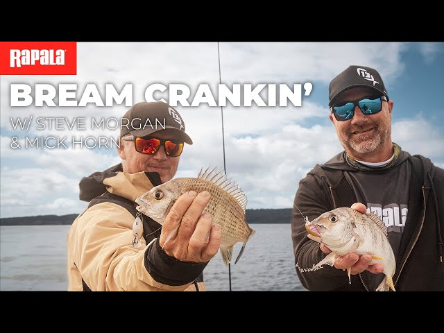 Leurre Rapala X Light Crank Mid Runner - 35mm - 4g - Coule Avec Grelot - Neuf
