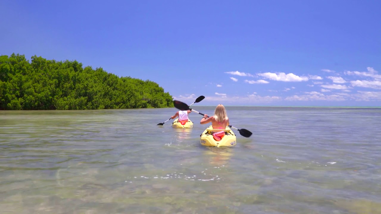 couple kayaking on clear ocean sunny day by tropical island